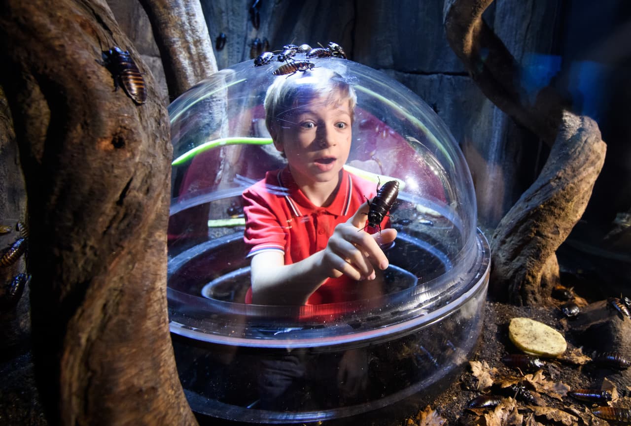 COMBO: SEA LIFE London Aquarium + FREE Hubby eSim - image 10